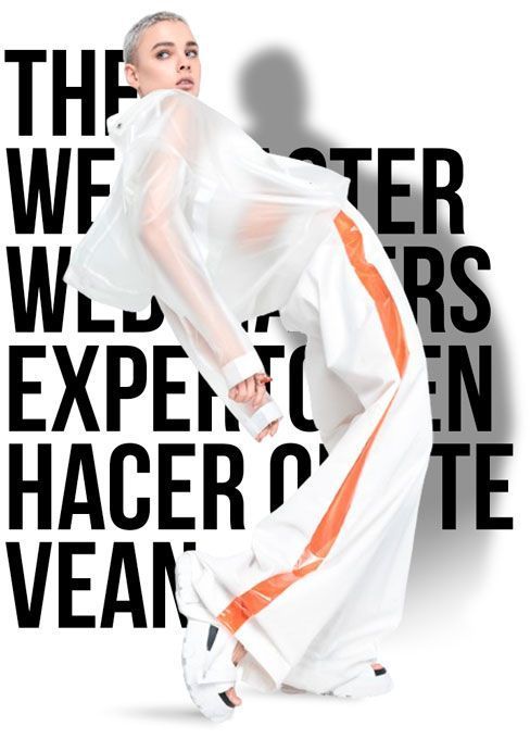 The Webmaster Diseño web diseño de e-commerce SEO